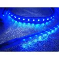 Hochwertige LED -Seilfeiertagslicht LEDstrip -Beleuchtung